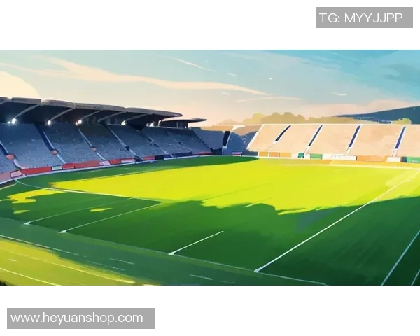 老林足球：探索足球背后的故事与激情，感受绿茵场上的友谊与竞争